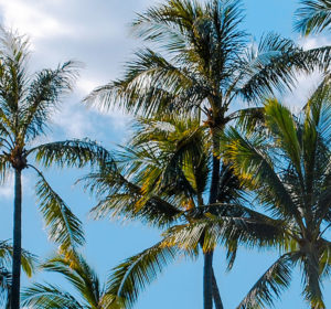 Travel Trends: Where to Go This Summer