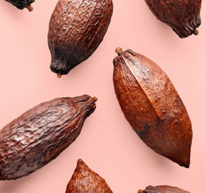 Chocolate: Good For Your Skin, Heart, and Soul