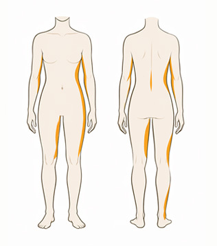 Body