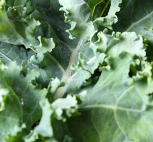 4 Foods to Boost Your Winter Beauty Routine