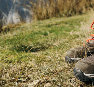 Best Foot Forward: How to Keep Your Feet Happy and Healthy