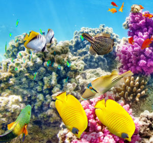 Nature Immersion Getaways that Will Change Your Life